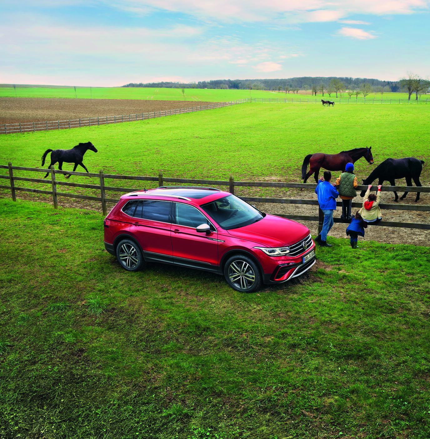 Tiguan Allspace  open veld