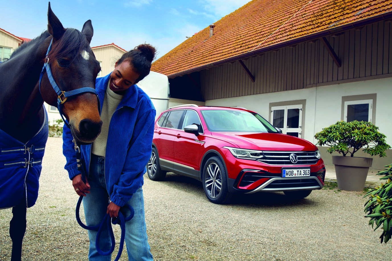 All space Tiguan paard